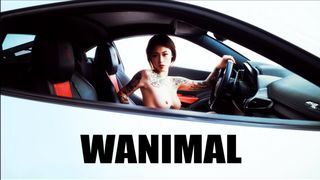 色影大师王动WANIMAL最新官方出品VIP视图作品集之惊艳纹身法拉利女孩 香车美女 嫩鲍美乳 高清1080P