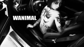 色影大师王动WANIMAL最新官方出品VIP视图作品集之惊艳纹身法拉利女孩 香车美女 嫩鲍美乳 高清1080P