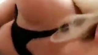 ¤|\||)¡€¤|)¤|\/|$-2